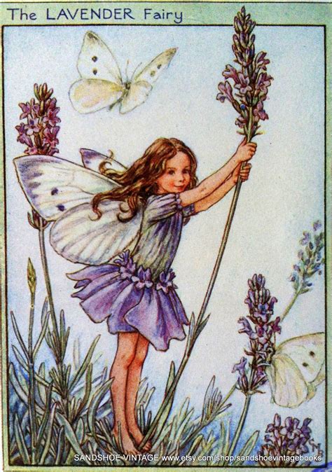 Cicely Mary Barker Lavender Fairy Art Vintage Fairies Fairy Garden