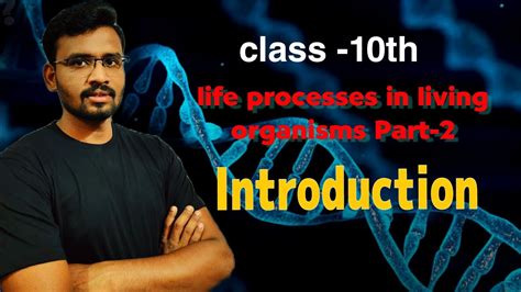 Life Processes In Living Organisms Part 2 Introduction Youtube