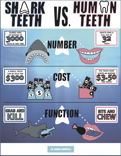 Sink Your Teeth Into Shark Week