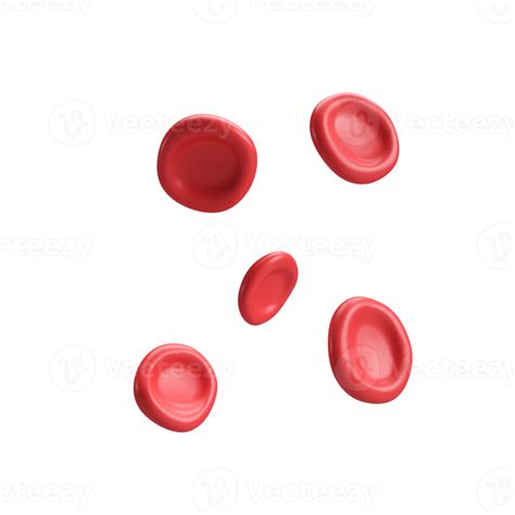 3d Flow Red Blood Cells Iron Platelets Erythrocyte Anemia Realistic