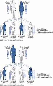 Genetic Counseling Genetics Heredity