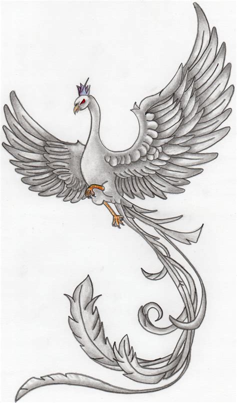 Phoenix Bird Drawings In Pencil