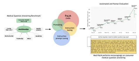 Meet Med Palm A Large Language Model Supporting The Medical Domain In