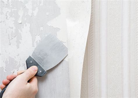 Plastering Over Wallpaper The Simple And Effective Method Diy Collab