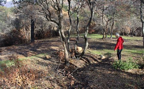 Backyard fire pit regulations california. Backyard Fire Pit Laws Sacramento California - House Backyards