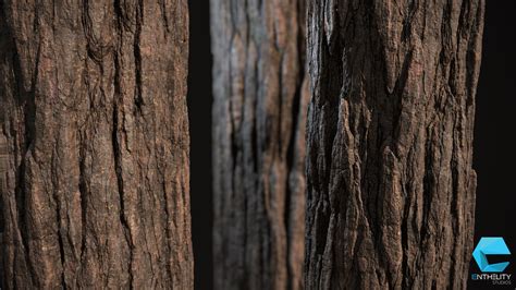 Enrico Tammekänd Pine Tree Bark
