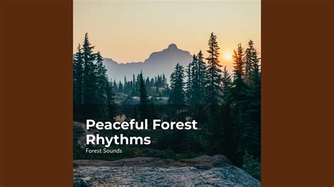 Forest Sound Effect Youtube