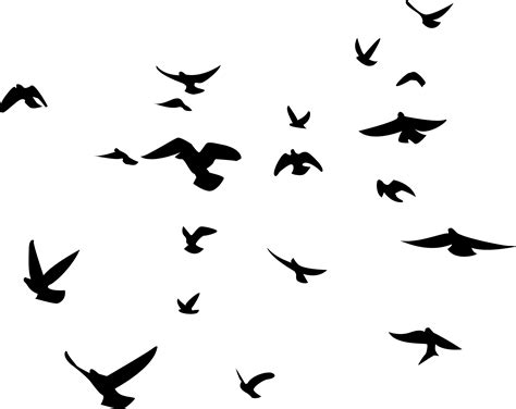 Birds Transparent Png File 11838 Web Icons Png