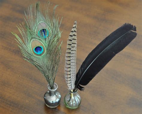 Exquisite Feather Quill Pens For An Elegant Writing Experience