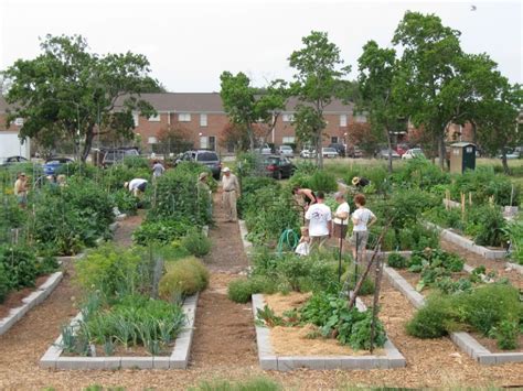 Types Of Community Gardens Urban Harvest