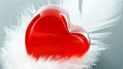 Love Red Hearts Feathers Valentines Day Wallpaper 1920x1080 46685