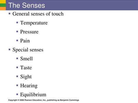 Ppt Special Senses Powerpoint Presentation Free Download Id3764401