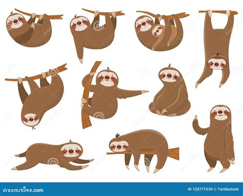 Funny Sloth Cartoon