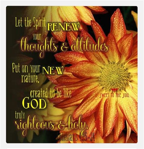 Ephesians 4:23-24 | Flower wallpaper, Fall flowers, Orange flowers