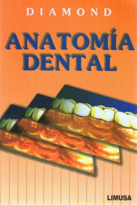 Anatomía Dental En Laleo