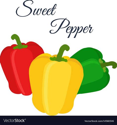 Bell Peppers Red Green Yellow Made In Cartoon Flat Style Fresh