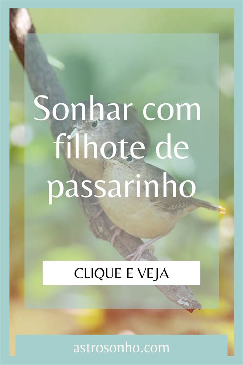 Significado De Dispensação Na Bíblia