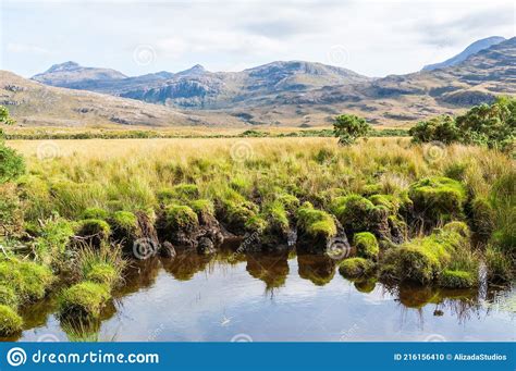 Marshlands In The Torridon Region Of Scotland Stock Photo Image Of