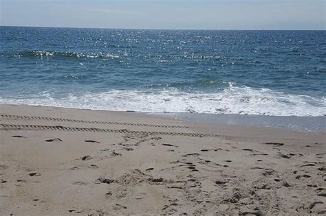 don t swim at these beaches high bacteria advisories