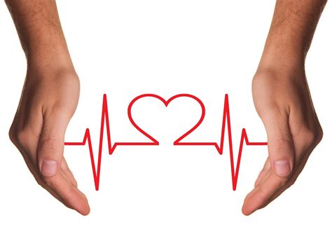 Download Heart Care Medical Care Royalty Free Stock Illustration Image