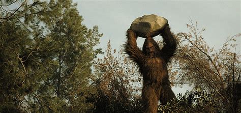 The 20 Most Convincing Bigfoot Sightings Of All Time