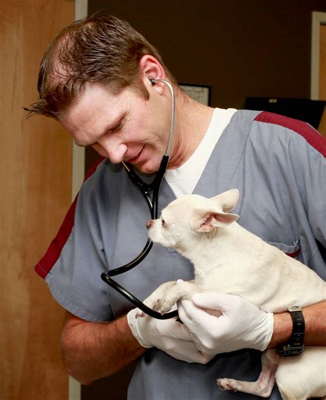 St Pet Veterinary Centers Blog Getting To Know Dr Lunt