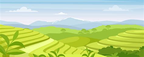 Ilustrasi Vektor Lanskap Perkebunan Teh Hijau Kartun Ladang Pertanian