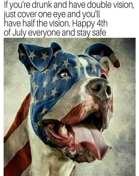 Happy And Funny 4th Of July Memes That Every American Can Laugh Funny 4th Of July Fourth Of