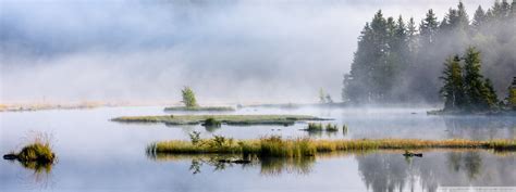 Forest Lake Nature Mist Ultra Hd Desktop Background Wallpaper For 4k