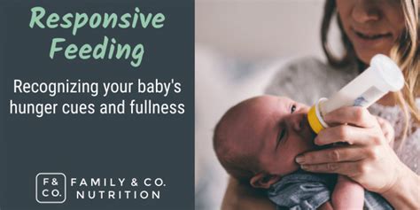 Responsive Feeding Know When Baby Is Full And Learn Their Hunger Cues