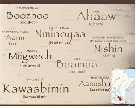 Interlake Ojibwe Dictionary To Learn Our Language And Inherit Our