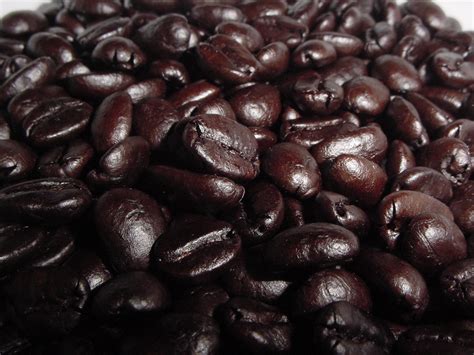 Filecoffee Beans Closeup Wikipedia