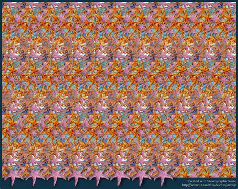 3d Hidden Pictures Indasoftware Stereogram Gallery Starfish