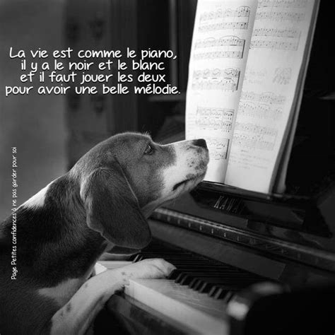 La Vie Est Comme Le Piano Inspirations Pour Réussir Sa Vie