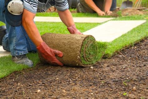 Landscapers Near Me Best Landscaping Companies Free Estimates