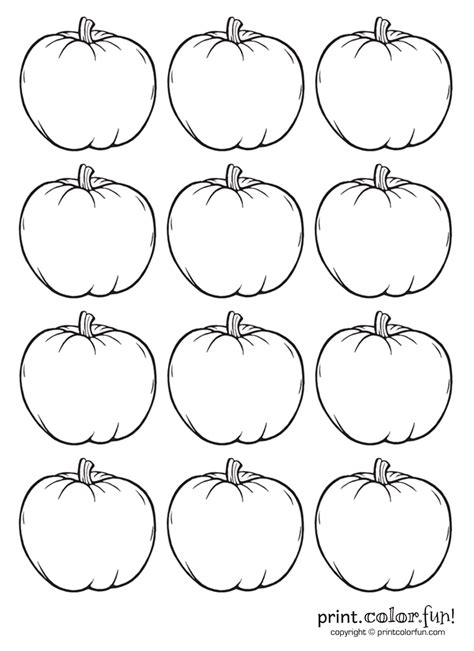 12 tiny blank pumpkins - Print Color Fun!