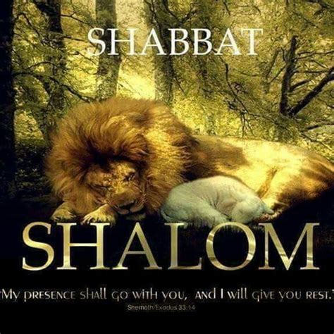 Shabbat Shalom Lion And Lamb Lie Down To Rest Shabbat Shalom Images