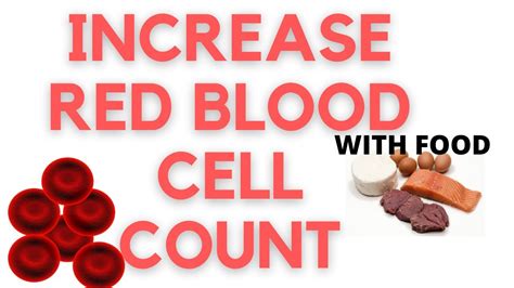 4 Ways To Increase Red Blood Cells With Diet Youtube