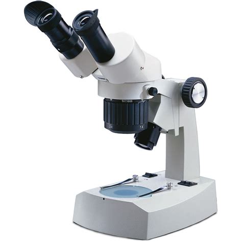 The Miracle Of Stereo Microscope Photography Stereo Microscope