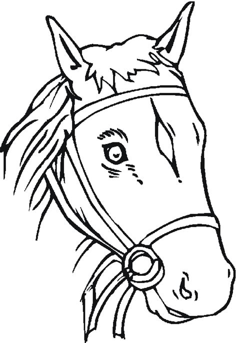 Horse Head Coloring Pages Clipart Best