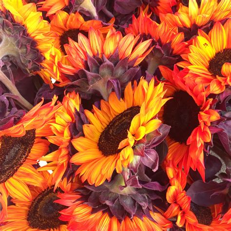 8 Ways To Celebrate Autumn No Matter What The Weathers Doing