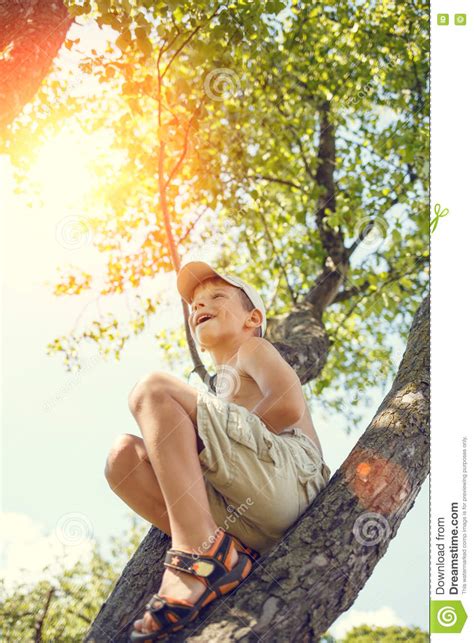 Small Boy Has Fun Climbing On The Tree Stock Image Image Of Playful