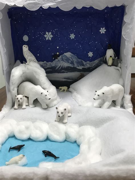Image Result For Diorama Meaning Diorama Kids Polar Bear Craft Bear