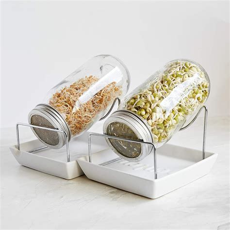 Sprouting Jar Kit 2 Seed Sprouters With Lids Stands And Trays