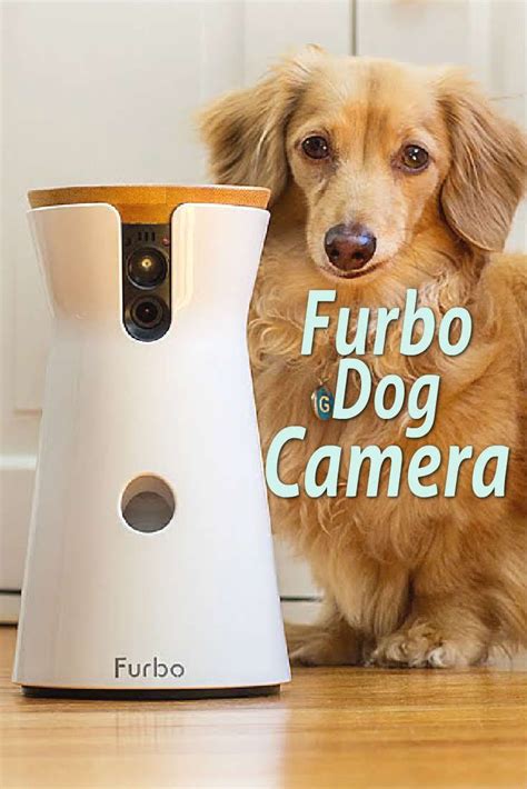 Furbo Dog Camera Snubs Cats And Focuses On Our Canine Friends Dog