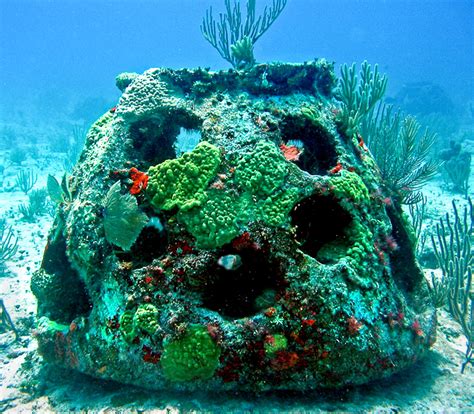 Get Buried In An Artificial Reef In Florida