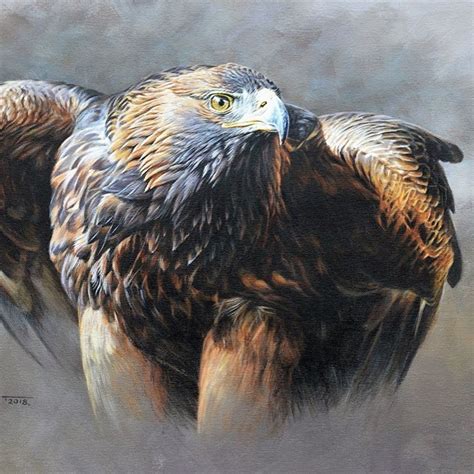 Alan M Hunt Wildlife Art On Instagram Birds Of Prey Original