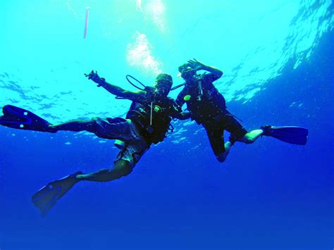 Scuba Diving Experiences For Certified Divers Musement