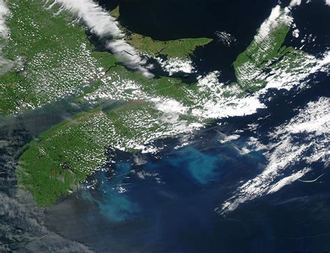 Nasa Visible Earth Phytoplankton Bloom Off Nova Scotia