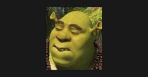 Shrek Connoisseur Meme Shrek Sticker Teepublic